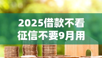 2025借款不看征信不要9月用户实证！顺道汇集五个2025贷款不看征信不要平台