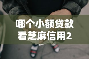 哪个小额贷款看芝麻信用2025年抢先试用！盘点网贷平台看重借款人的芝麻信用