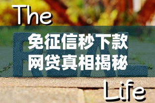 免征信秒下款网贷真相揭秘