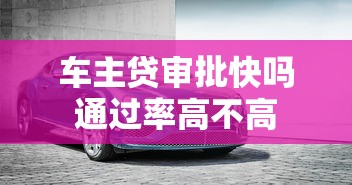 车主贷审批快吗通过率高不高
