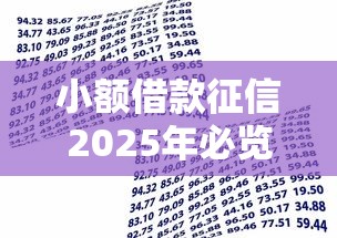 小额借款征信2025年必览这5个！同时展示小额贷款征信记录