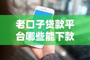 老口子贷款平台哪些能下款