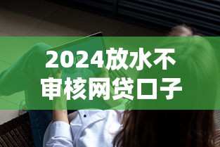 2024放水不审核网贷口子汇总