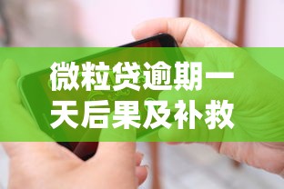 微粒贷逾期一天后果及补救措施