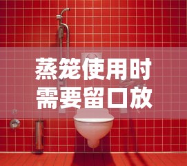 蒸笼使用时需要留口放水吗