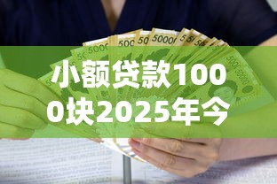 小额贷款1000块2025年今日关注！为您解析5个网贷1000块口子