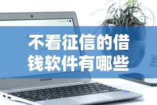 不看征信的借钱软件有哪些