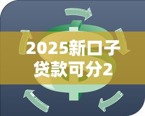 2025新口子贷款可分24期申请
