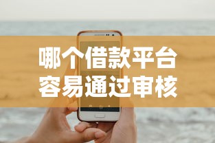 哪个借款平台容易通过审核