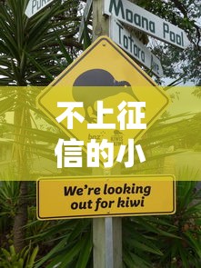 不上征信的小贷平台哪个容易通过