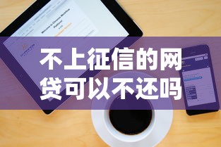 不上征信的网贷可以不还吗