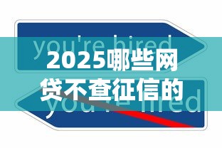 2025哪些网贷不查征信的平台2025这些够用了！本篇细说五个2025哪些贷款口子不查征信的