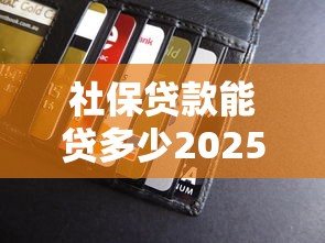 社保贷款能贷多少2025年速借指引！评析包括有品钱包以及永亨速申在内的这5个借钱口子