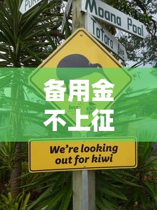 备用金不上征信的五个关键方法
