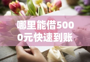 哪里能借5000元快速到账