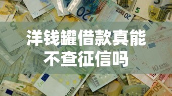 洋钱罐借款真能不查征信吗
