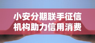 小安分期联手征信机构助力信用消费