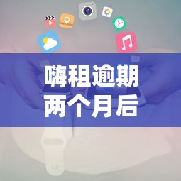嗨租逾期两个月后果及应对方案