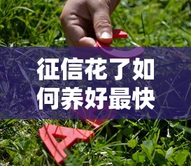 征信花了如何养好最快恢复方法