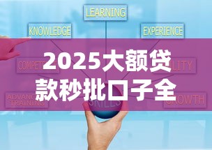 2025大额贷款秒批口子全攻略