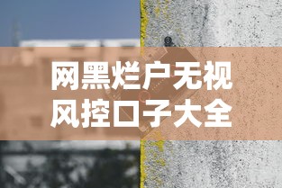 网黑烂户无视风控口子大全