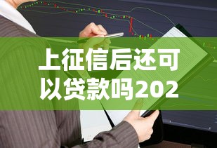 上征信后还可以贷款吗2025年火速查看！顺便总结5个征信花了网贷全部被拒