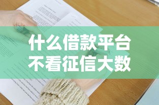 什么借款平台不看征信大数据查询必备这5个！本文为您细致了解！