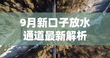 9月新口子放水通道最新解析