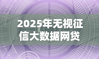 2025年无视征信大数据网贷推荐
