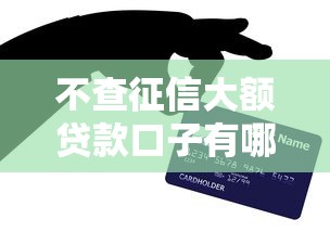 不查征信大额贷款口子有哪些
