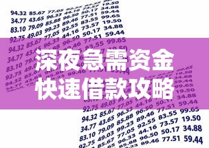 深夜急需资金快速借款攻略