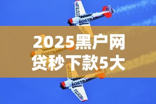 2025黑户网贷秒下款5大口子