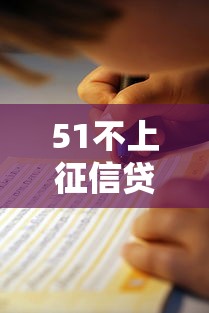 51不上征信贷款申请指南