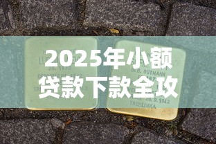 2025年小额贷款下款全攻略