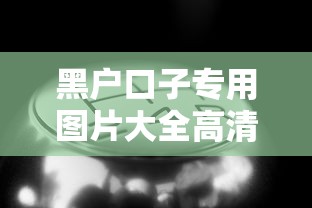 黑户口子专用图片大全高清无水印