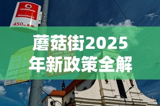 蘑菇街2025年新政策全解析