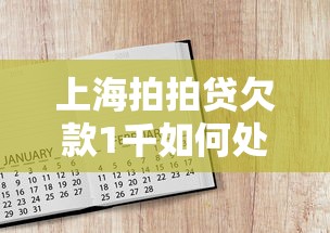 上海拍拍贷欠款1千如何处理