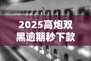 2025高炮双黑逾期秒下款口子