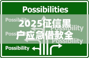 2025征信黑户应急借款全攻略