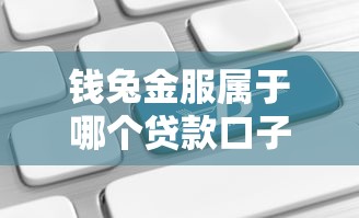 钱兔金服属于哪个贷款口子