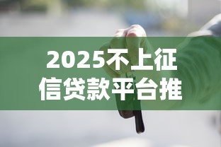 2025不上征信贷款平台推荐