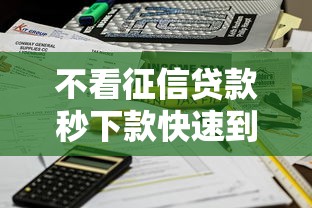 不看征信贷款秒下款快速到账