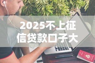 2025不上征信贷款口子大全