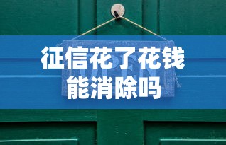 征信花了花钱能消除吗 征信花了花钱能消除吗