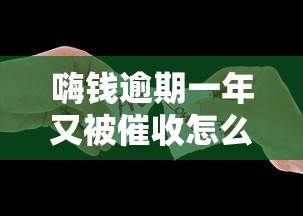 嗨钱逾期一年又被催收怎么办
