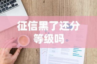征信黑了还分等级吗