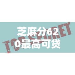 芝麻分620最高可贷30万口子