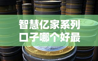 智慧亿家系列口子哪个好最全解析