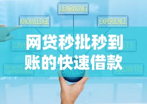网贷秒批秒到账的快速借款攻略