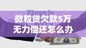 微粒贷欠款5万无力偿还怎么办